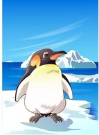 Penguin 8