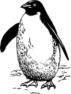 Penguin clip art