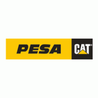 Pesa Thumbnail