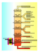 Petroleum Distillation