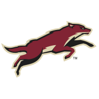 Phoenix Coyotes