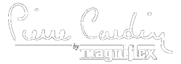 Pierre Cardin Magniflex