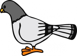 Pigeon clip art Thumbnail