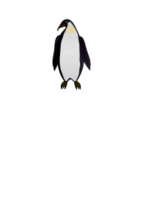 Pingouin