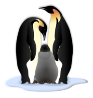 Pinguin Familie Thumbnail
