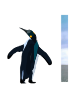 Pinguino Thumbnail