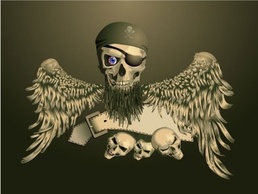 Piracy skull with wings