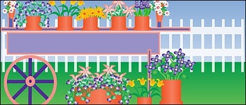 Plants flower in pots out door Thumbnail