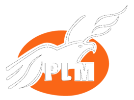 Plm Mexico Politica