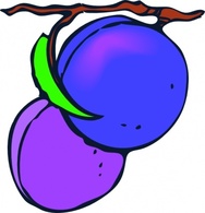 Plums clip art Thumbnail