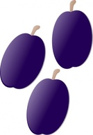 Plums clip art Thumbnail