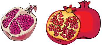 Pomegranate 1 Thumbnail