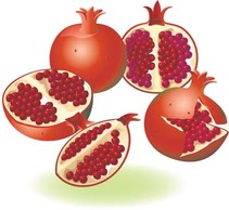 Pomegranate 2 Thumbnail