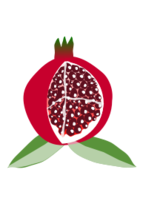 Pomegranate Fruit Thumbnail