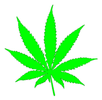 Pot Leaf