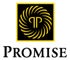 Promise