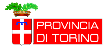 Provincia Di Torino