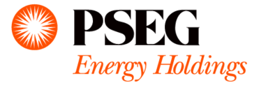 Pseg Energy Holding Thumbnail