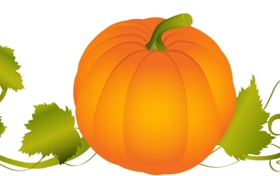 Pumpkin Vector Graphic