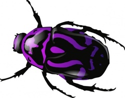 Purple Beetle clip art