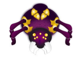 Purple spider