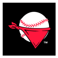 Quad City River Bandits