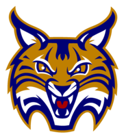 Quinnipiac Bobcats