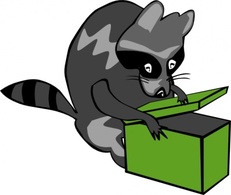 Raccoon Opening Box clip art Thumbnail