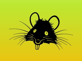 Rat Cartoon Vector