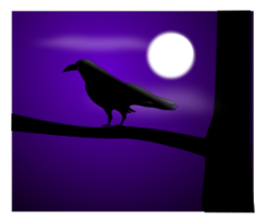 Raven Illustration Thumbnail