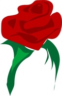 Red Flower Love Rose Rosa Plant Valentine Rosas Thumbnail
