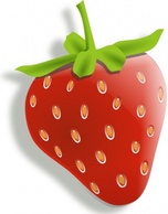 Red Food Fruit Cartoon Strawberry Plant Berry Strawberries Edible Thumbnail