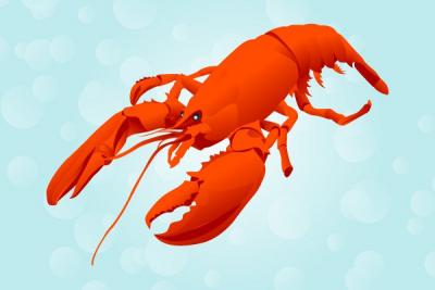 Red Lobster Vector Illustration Thumbnail