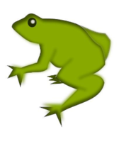 Remix - Frog