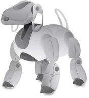 Robotic Dog