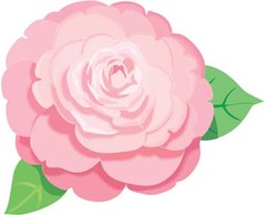 Rose Flower Vetor 30 Thumbnail