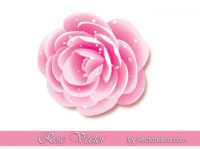 Rose Vector Thumbnail