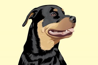 Rottweiler Vector Illustration Thumbnail