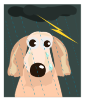 Sad Dog IN The Rain Thumbnail