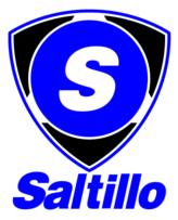 Saltillo Thumbnail
