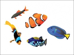 Saltwater Fish Thumbnail