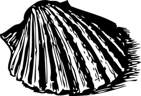 Scallop Shell clip art Thumbnail