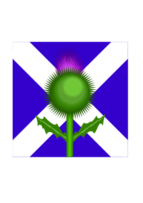 Scottish Thistle and flag