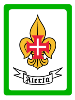 Scouts Of Portugal