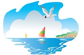 Seagull vector 7