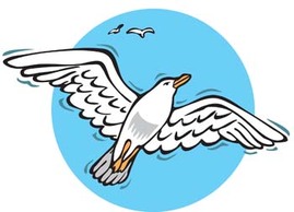 Seagull vector 8