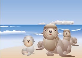 Seals 3