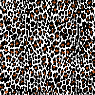 Seamless Pattern Leopard Thumbnail