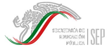 Secretaria De Educacion Publica Thumbnail