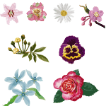 Set Of Vector Flowers